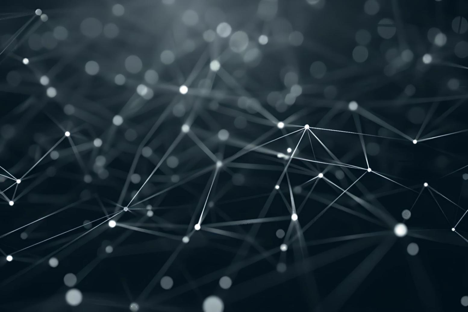 Lernumgebung und Teamarbeit bei Vandariseon